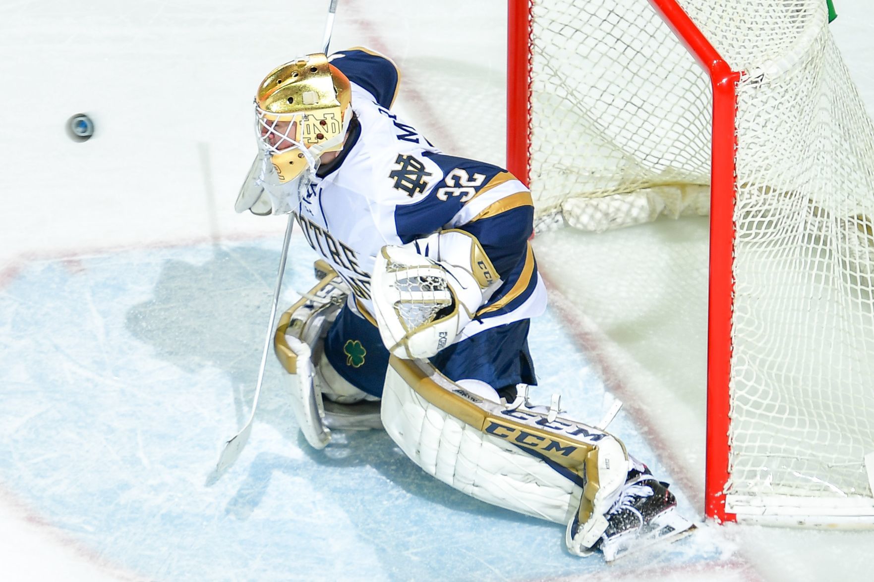 Cale Morris